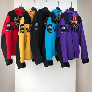 超希少！シュプリーム x ノース フェイス アーク ロゴ マウンテン パーカ 本物 Nok16075