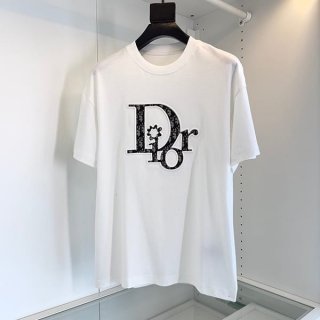定番ディオール ERL Tシャツ 本物 リラックスフィット deq93152