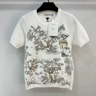 秋冬大セールディオール アイコニック Tシャツ 本物 dee45962