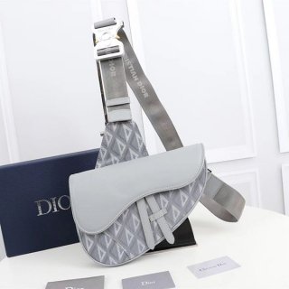 ディオール ミニハンドバッグ 本物 AND PETER DOIG SADDLE バッグ deq73852