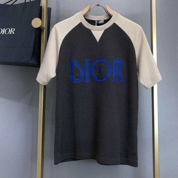 超話題!ディオール ロゴTシャツ 本物 カラーブロッキング den15276