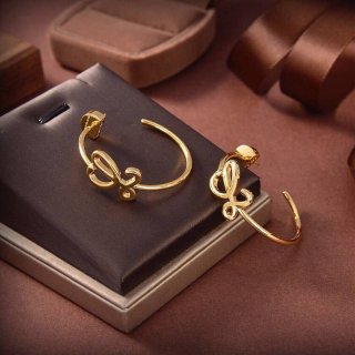 完売必至ロエベ アナグラム ピアス 本物 loi21732