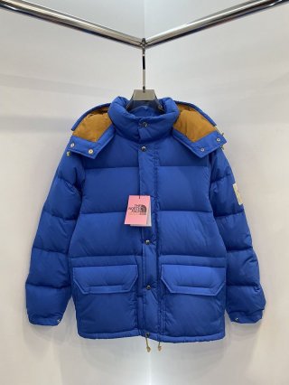 ☆超人気☆ ノースフェイス × グッチ コラボ ダウンジャケット本物 Noq96497