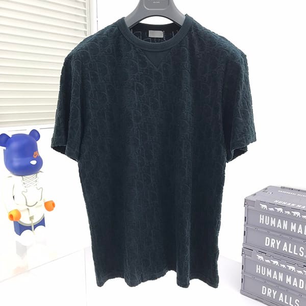 争奪戦ディオール Tシャツ 本物 オブリーク dek03809